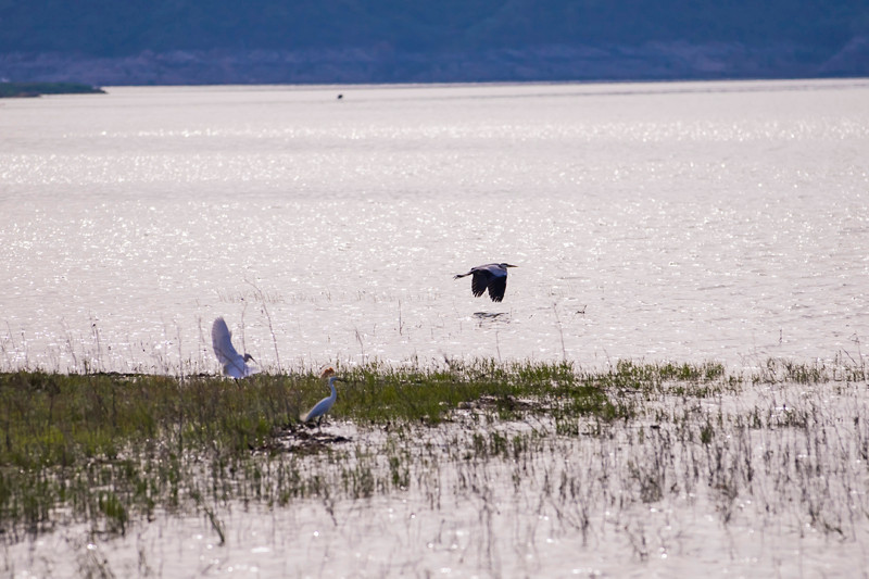 房車讓旅行與生活更美好 房車讓旅行與生活更美好